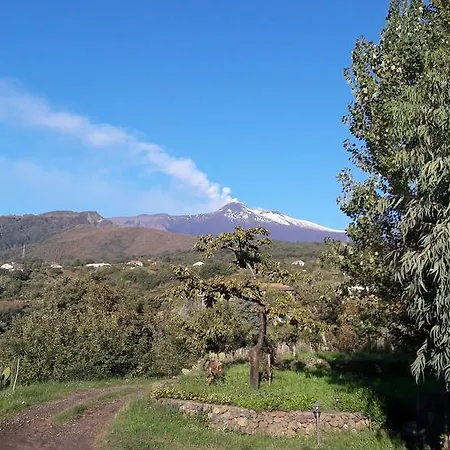 Alberto's Mt.etna * Zafferana Etnea