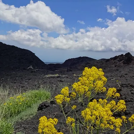 Frühstückspension Alberto's Mt.etna Zafferana Etnea