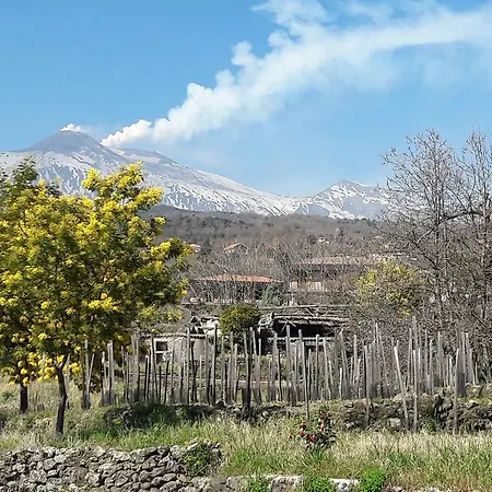 Bed & Breakfast Alberto's Mt.etna