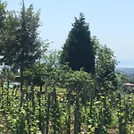 Alberto's Mt.etna Zafferana Etnea