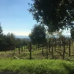 Alberto's Mt.etna Zafferana Etnea