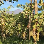Alberto's Mt.etna Frühstückspension Zafferana Etnea