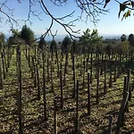 Alberto's Mt.etna 3*