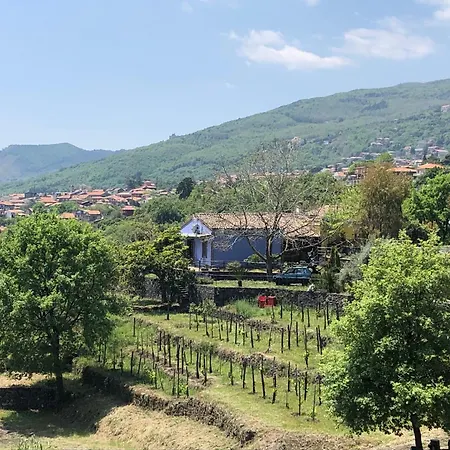 Alberto's Mt.etna Zafferana Etnea