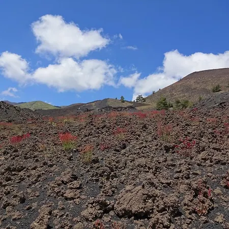 Alberto's Mt.etna * Zafferana Etnea